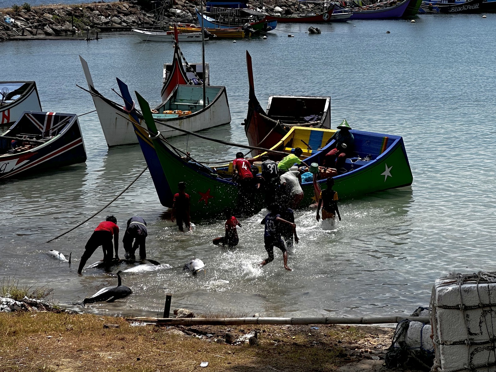 Nelayan menurunkan tuna dari perahu di tepi pelabuhan ikan tradisional Sabang.